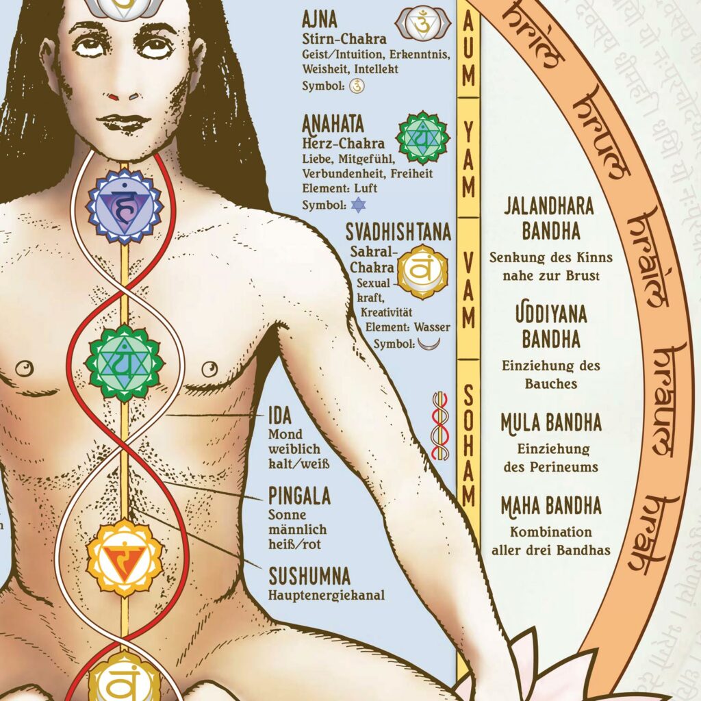 Chakra Yoga Poster DEUTSCH Kundalini Wandbild Chakren Yogaposter Lehrposter Meditation